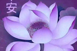最让人暖心的祝福语,最温馨的祝福语集锦
