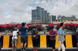 海珠涌网红,网红打卡地，广州新地标