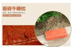 红板砖官网,探索现代家居建材的无限可能