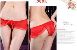 女士透明内衣,探索女士透明内衣的时尚魅力与选购指南”