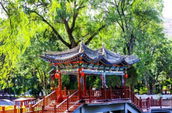 兴义网红园,绿意盎然中的城市新宠