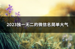 独一无二微信名,探寻那抹微信昵称的独特魅力
